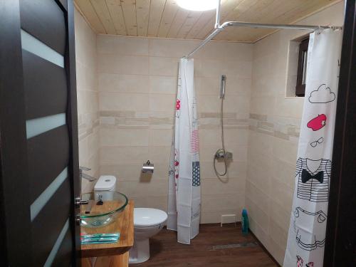 a bathroom with a toilet and a shower at Cabana Alpha in Baia Mare