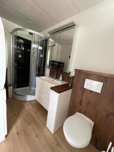 een badkamer met een douche, een toilet en een wastafel bij Het Riethuis in Holthone