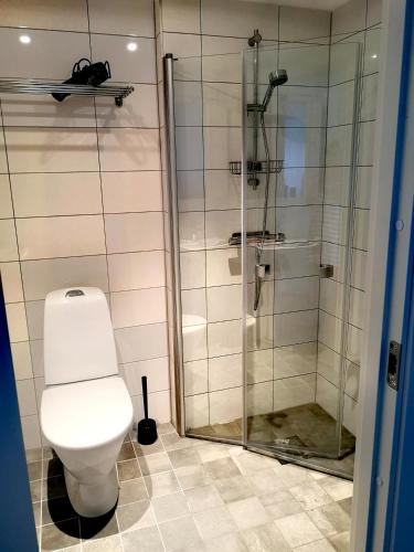 a bathroom with a toilet and a shower at Lägenhetshotell Varvet in Ellös