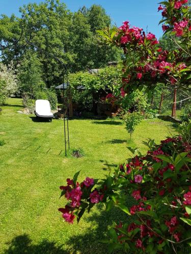 a bench sitting in a yard with pink flowers at Willa Różana in Rymanów-Zdrój