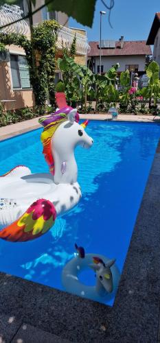 a pool with a inflatable unicorn in the water at Apartman MURKO P-2 in Brest