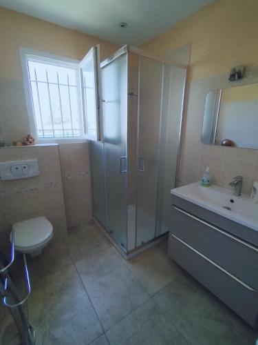 une salle de bain avec une douche, un lavabo et des toilettes dans l'établissement Villa près des remparts, à Régusse