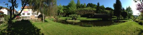 a garden with a pond in front of a house at Auberge Restaurant La Roseraie in Grandrupt