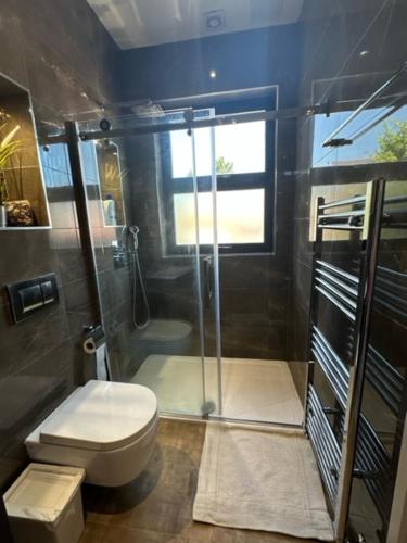 a bathroom with a toilet and a glass shower at Lovely apartment near Gatwick airport in Reigate