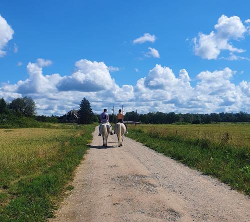 due persone a cavallo lungo una strada sterrata di Ohukotsu Glamping a Ohukotsu