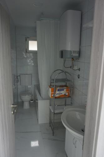 Baño pequeño con aseo y lavamanos en Apartments Lučin, en Veliki Drvenik