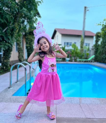 a little girl in a pink dress and a crown at APARTMAN MURKO P-4 in Ljubljana