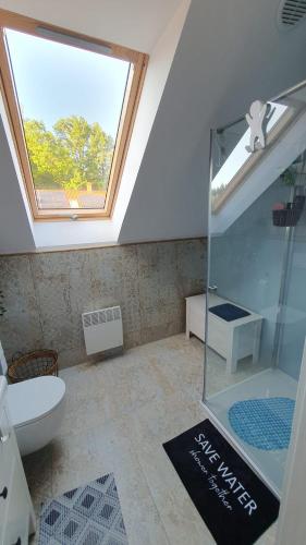 a bathroom with a skylight and a shower and a toilet at Szara Czapla in Borowy Młyn
