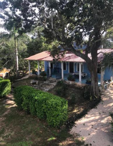 a blue house with a tree in front of it at Casa de campo Hacienda Multunkú Minerva in Seyé