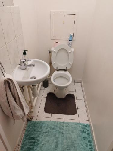 a bathroom with a toilet and a sink at 2 pièces à St Germain en Laye in Saint-Germain-en-Laye