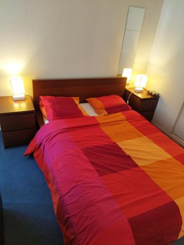 een slaapkamer met een groot bed en een kleurrijke deken bij 2 pièces à St Germain en Laye in Saint-Germain-en-Laye