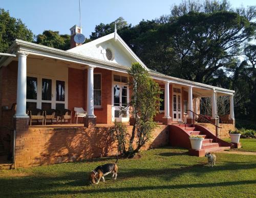 Gallery image of Yalta Park in Pietermaritzburg