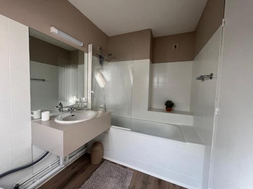 une salle de bain avec un lavabo et une baignoire dans l'établissement STUDIO CABINE COSY À LUCHON, à Luchon