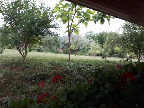 a view of a park with red flowers and trees at Casa Ciobanca in Vadul lui Carol II