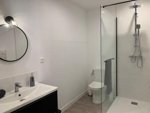a bathroom with a sink and a mirror and a toilet at Appartement cœur de village Numéro2 in Peyriac-de-Mer