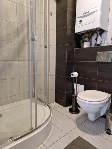 uma casa de banho com um WC e uma cabina de duche em vidro. em Apartament PRZYBUDÓWKA em Katowice