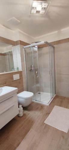 a bathroom with a shower and a toilet and a sink at Nový apartmán v klidu Jizerek in Smržovka