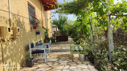 Κήπος έξω από το Vivian Philoxenia