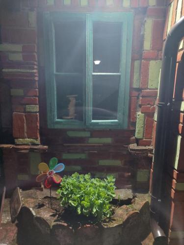 a window in a brick wall with a flower in front of a plant at Apartmani Bogatić in Bogatić