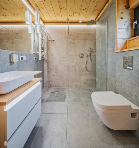 a bathroom with a toilet and a sink and a shower at Domki Osada Zieleniec in Duszniki Zdrój