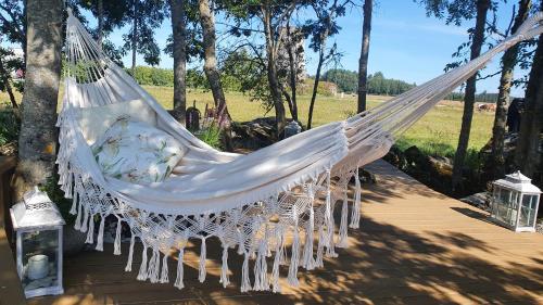 un'amaca appesa a un albero in un cortile di Ohukotsu Glamping a Ohukotsu