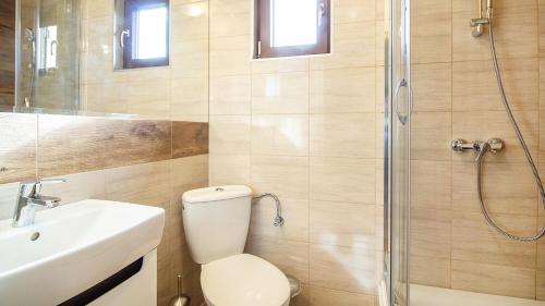a bathroom with a toilet and a sink and a shower at Sielankowe Domki in Rusinowo