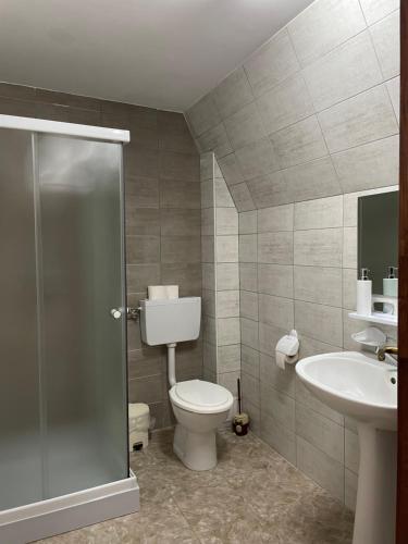 a bathroom with a toilet and a sink at Pensiunea Cheile Șugăului in Bicaz Chei