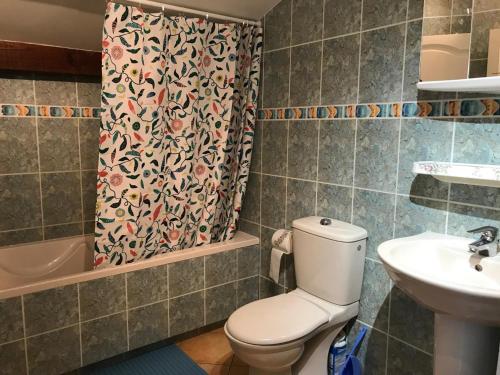 ein Badezimmer mit einem WC, einem Waschbecken und einem Duschvorhang in der Unterkunft Chori-ekin in Ustaritz