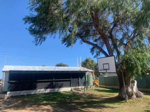a building with a basketball hoop next to a tree at dhu drop inn in Cervantes