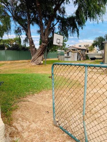 a basketball hoop in a park with a tree at dhu drop inn in Cervantes