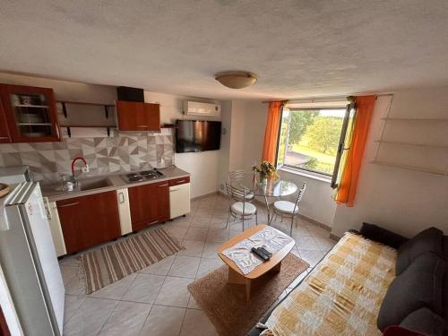 Il dispose d'une cuisine et d'un salon avec un canapé et une table. dans l'établissement App Franci Parenzana, à Marušići
