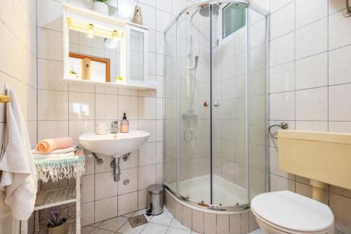 y baño con ducha, aseo y lavamanos. en Guesthouse Matija, en Šestanovac