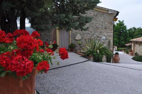 a house with red flowers on the side of a driveway at Podere "la svolta" in Chianni