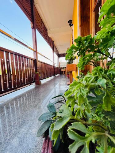 a balcony with green plants in a building at THE LUXE HOTEL, ECR ROAD, NEAR Serenity Beach, Pondicherry - JR Groups in Puducherry