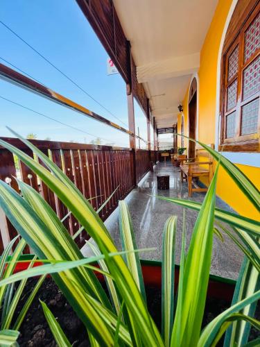a balcony of a house with green plants at THE LUXE HOTEL, ECR ROAD, NEAR Serenity Beach, Pondicherry - JR Groups in Puducherry