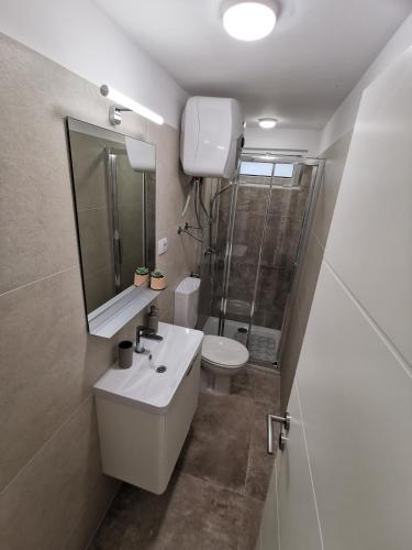 a bathroom with a sink and a toilet and a mirror at Apartmani Vana in Tribunj