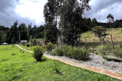 a garden with some plants in the grass at Cabaña en la montaña de 3 Habitaciones in Sutatausa