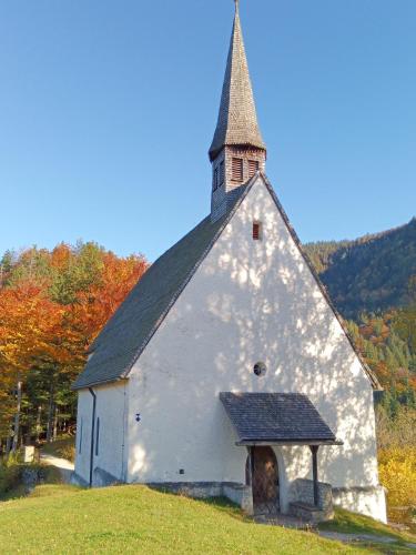 a white church with a steeple on a hill at Pilzhof in Schleching