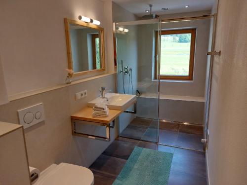 a bathroom with a toilet and a sink and a shower at Pilzhof in Schleching