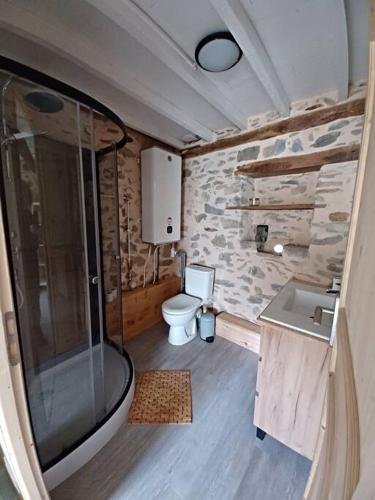 une salle de bain avec une douche, des toilettes et un lavabo dans l'établissement LOU PICOU, Gîte montagne habitat typique, 3 pers, à Oust