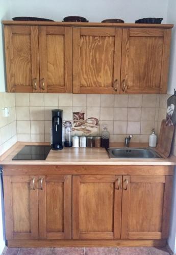 a kitchen with wooden cabinets and a sink at Pension Plešivecká 119 in Český Krumlov