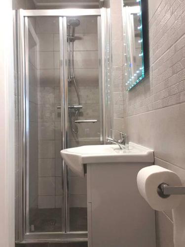 a bathroom with a shower and a sink and a sink at The Art House 1 Galway, Woodquay in Galway