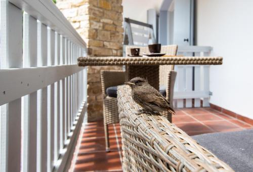 Φωτογραφία από το άλμπουμ του Deres Apartmanház σε Lókút