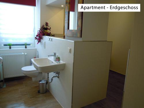 a bathroom with a sink and a toilet at Ferienwohnung Wolfsholz in Wernigerode