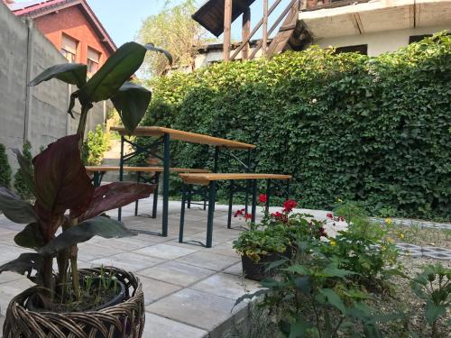 a patio with a table and a potted plant at Apartament wygodny S4 in Kalisz