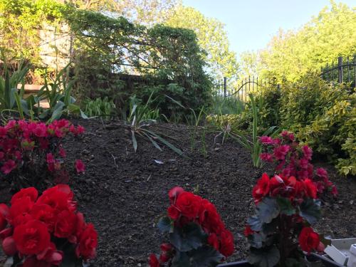 a garden with red flowers and a fence at Apartament wygodny S4 in Kalisz