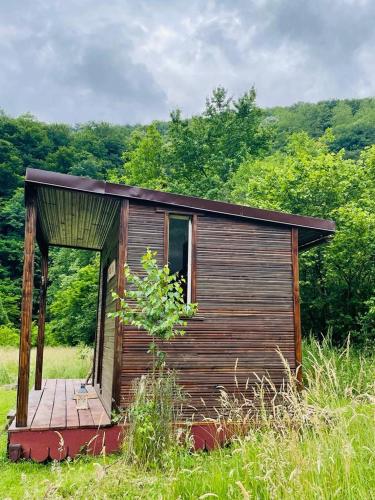 a small wooden cabin in a field of grass at Retreat în padure in Buchin