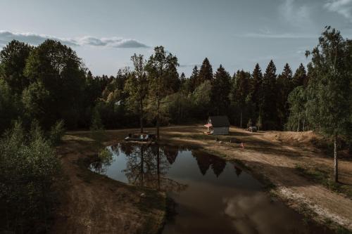 a small pond with a house in the background at Wolf Cottage in Pabaži