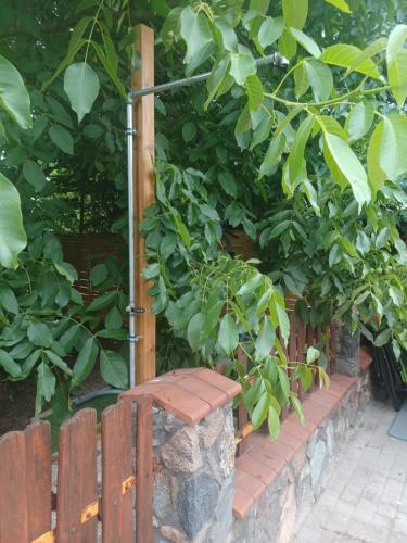 Un jardín fuera de Dom z Sauną i Jacuzzi Rowery Elektryczne