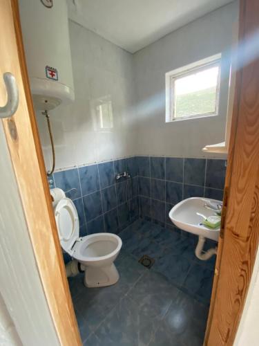 a bathroom with a toilet and a sink at Villa Djekovic in Čanj